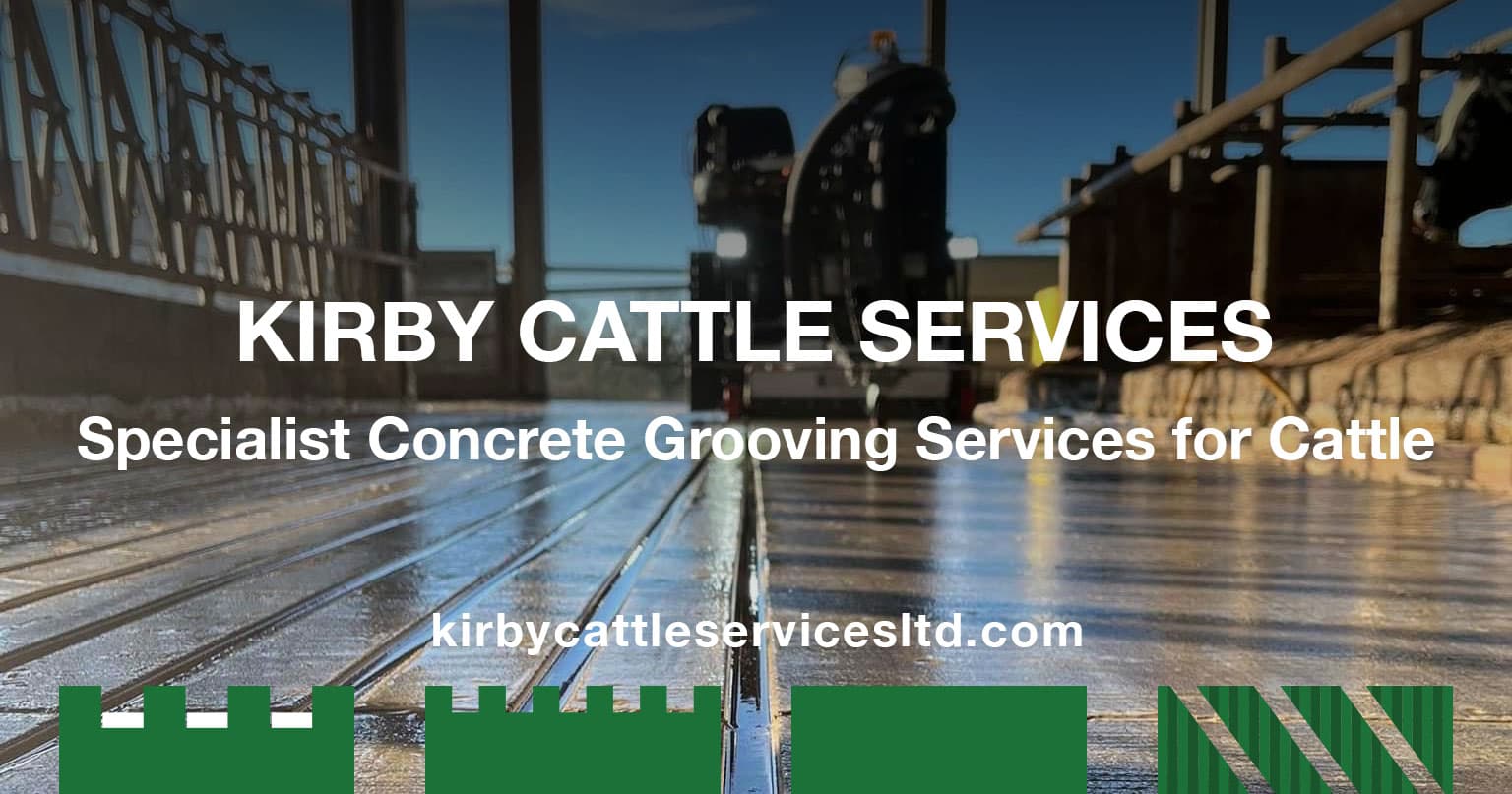 Concrete Grooving For Cattle Sheds Kirby Cattle Services