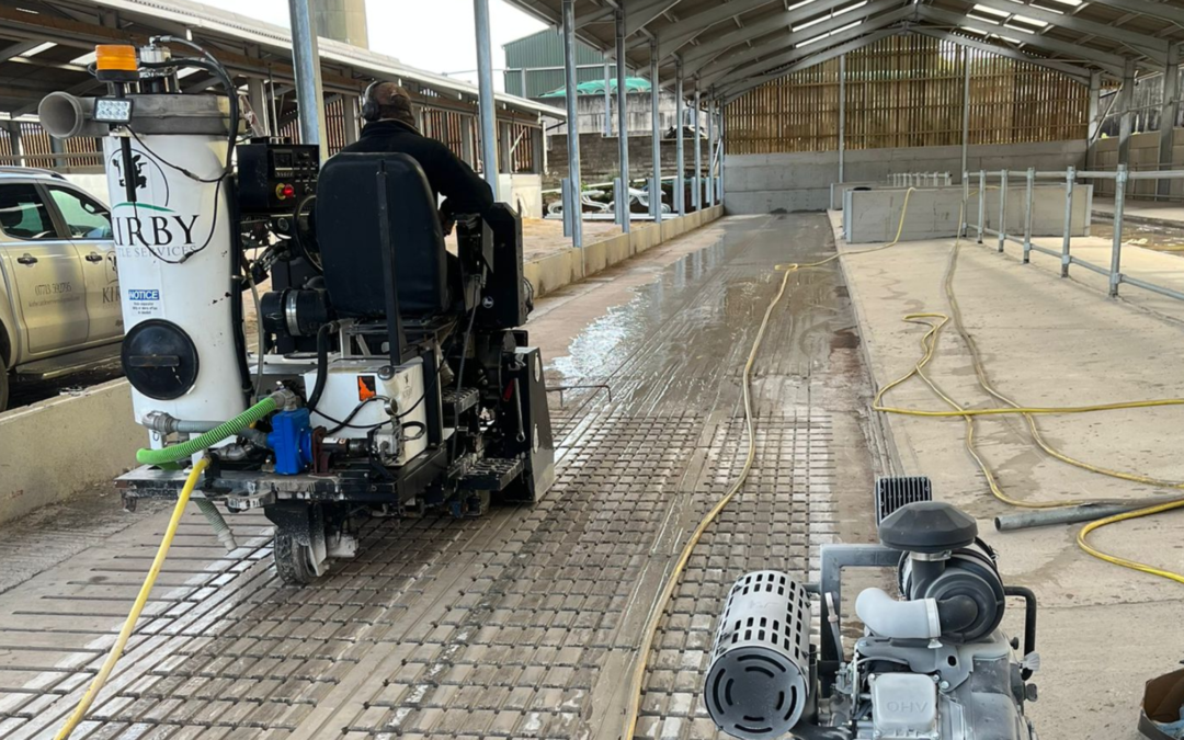 Advances in Cattle Hoof Care Flooring in 2025